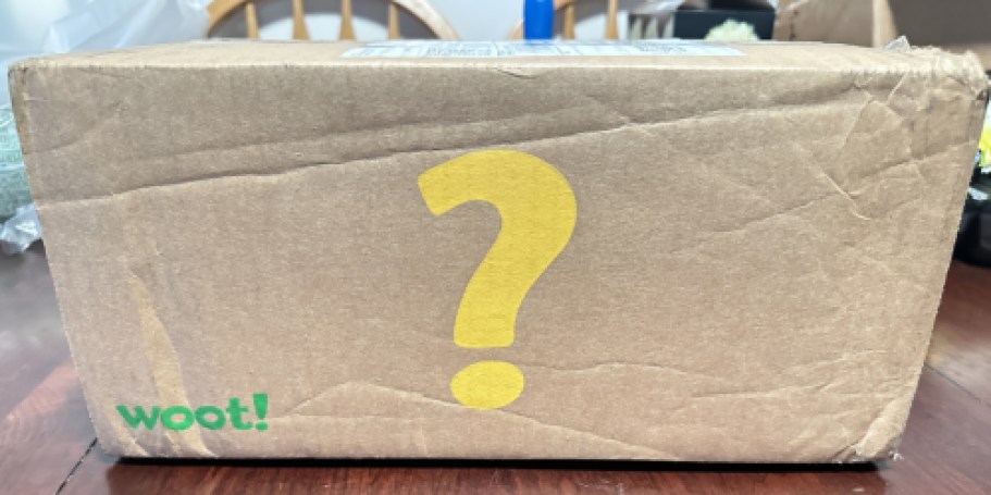 RUN! Woot’s Totally Fun Pricing Event Starts at 2:30pm CT – Score Deals for Just $1!