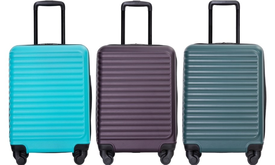 three 20 inch harside carry on bags