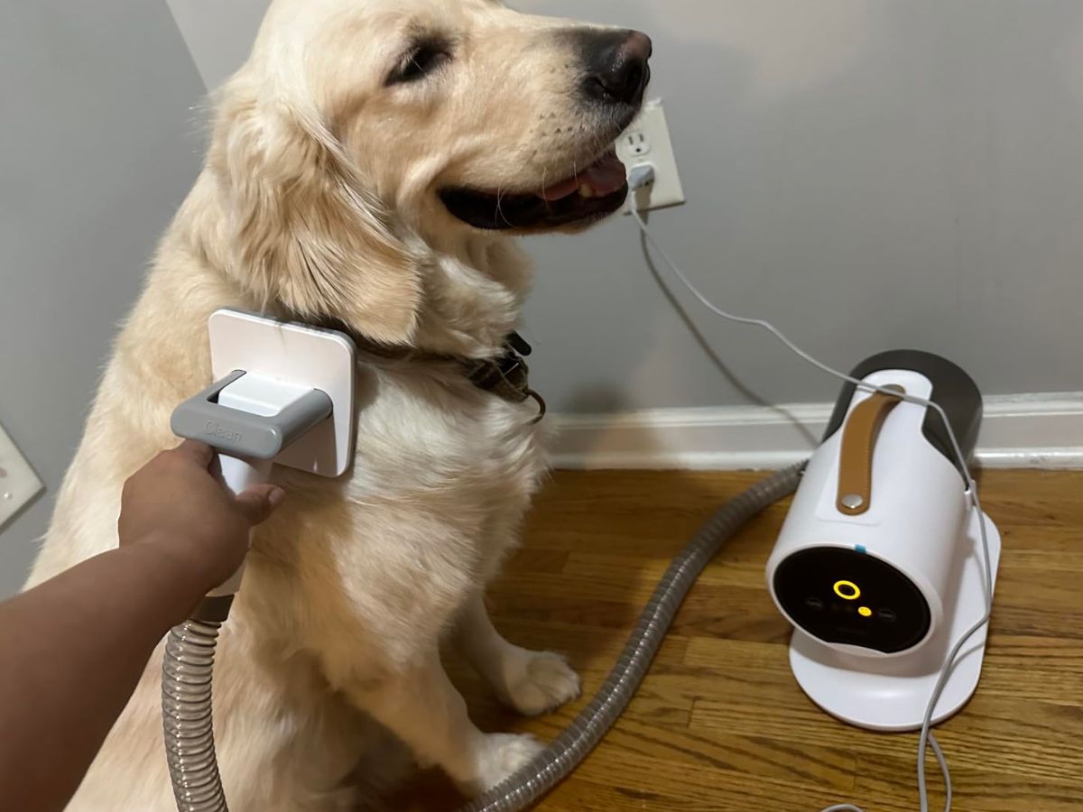 Dog Grooming Vacuum Just $45 Shipped on Amazon (Reg. $100)