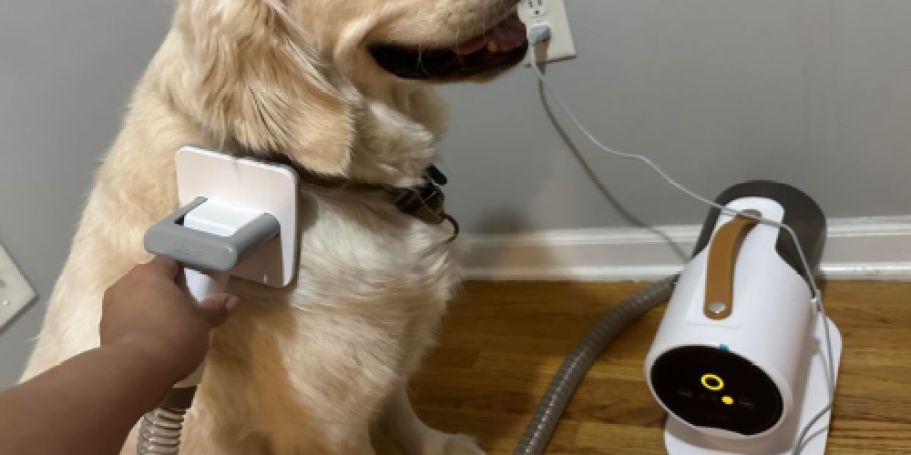 Dog Grooming Vacuum Just $39.91 Shipped on Amazon (Reg. $100)