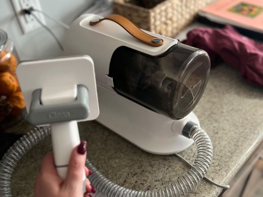 A person holding the handle of a white vacuum with the canister in the background 