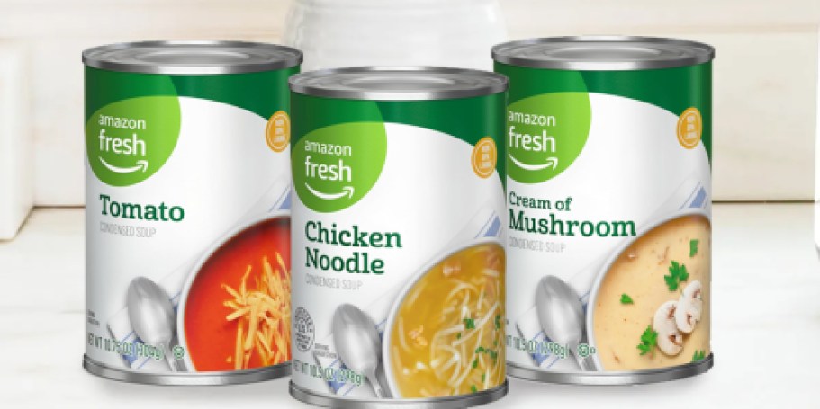 Amazon Fresh Soup Only 55¢ Shipped (Lots of Flavors!)