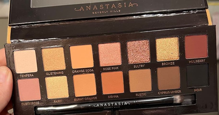Hand holding an Anastasia Beverly Hills Soft Glam Palette