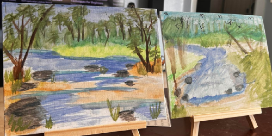 Blank 8×10 Painting Canvas 12-Pack Just $10.99 Shipped on Amazon (Reg. $16)