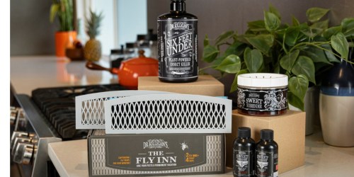 Ditch the Ugly Bug Traps! These Eco-Friendly Ones from Dr. Killigan’s Look Like Decor AND Ship Free