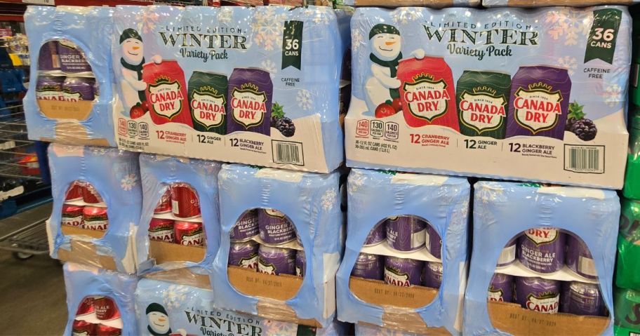 Canada Dry Winter Variety Packs at Sam's Club