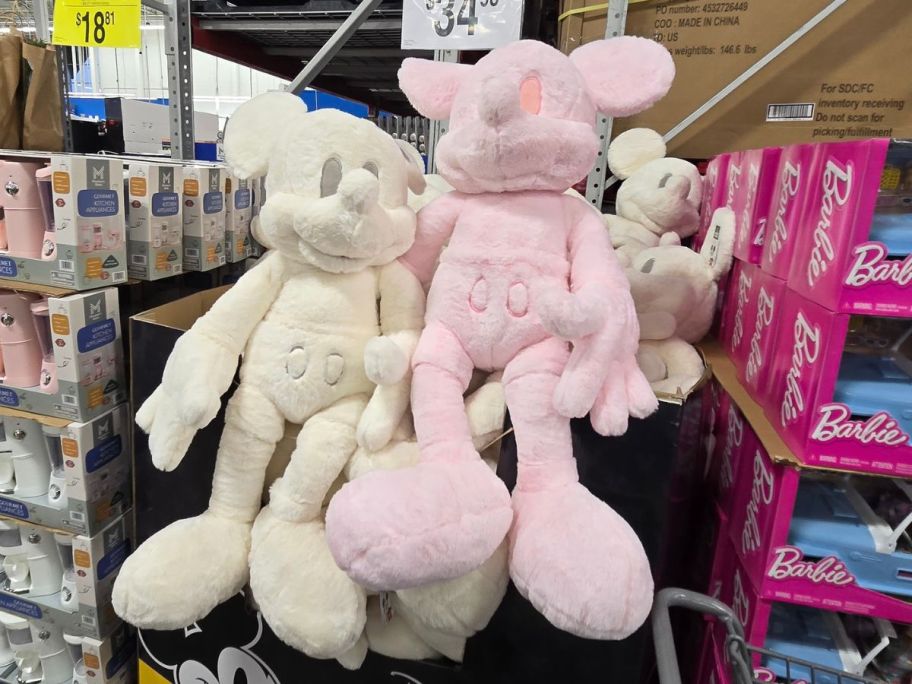 two mickeys on display 