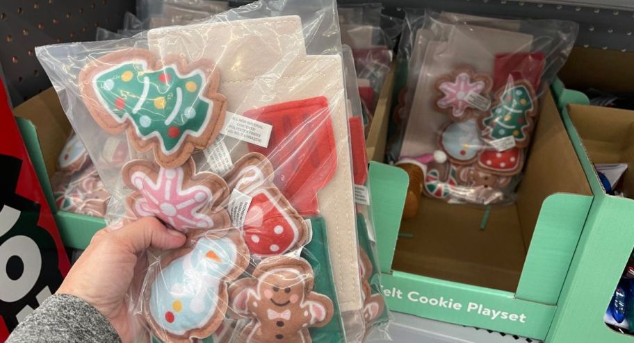 hand holding felt cookie set