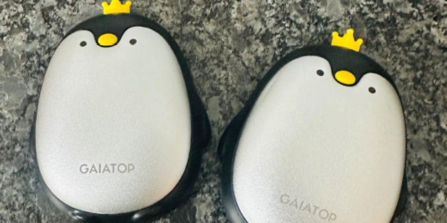 Rechargeable Hand Warmers 2-Pack Just $9.89 on Amazon (Reg. $22)