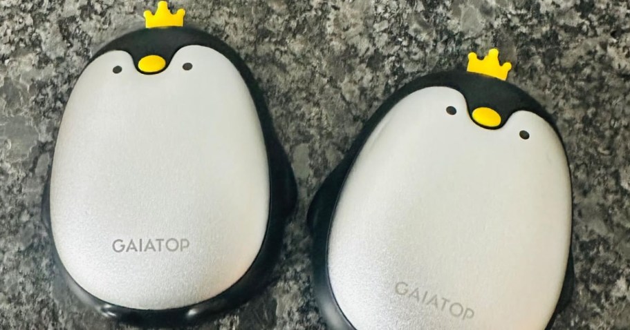 Rechargeable Hand Warmers 2-Pack Just $9.89 on Amazon (Reg. $22)