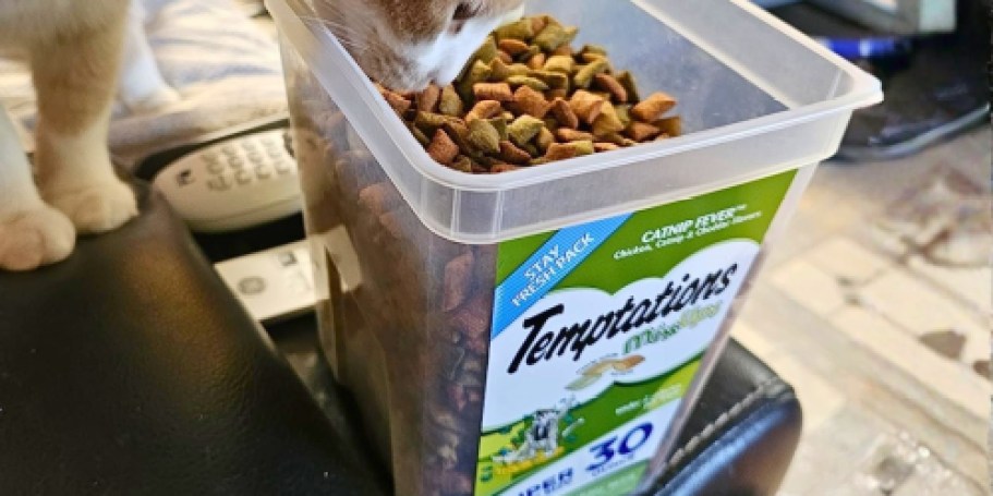 Temptations Cat Treats 30oz Container Just $8 Shipped on Amazon