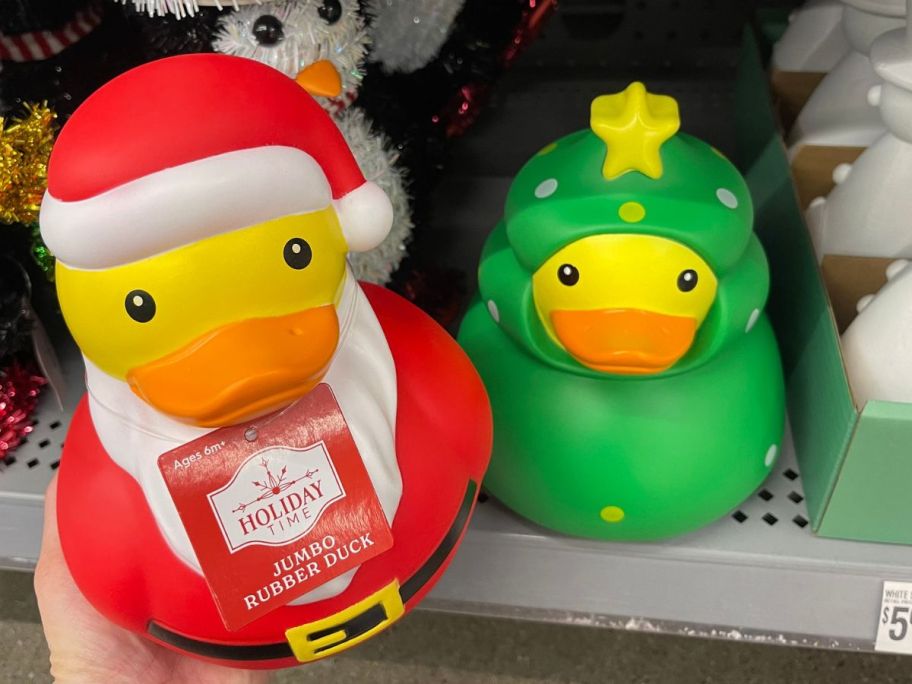 hand holding Holiday time jumbo ducks