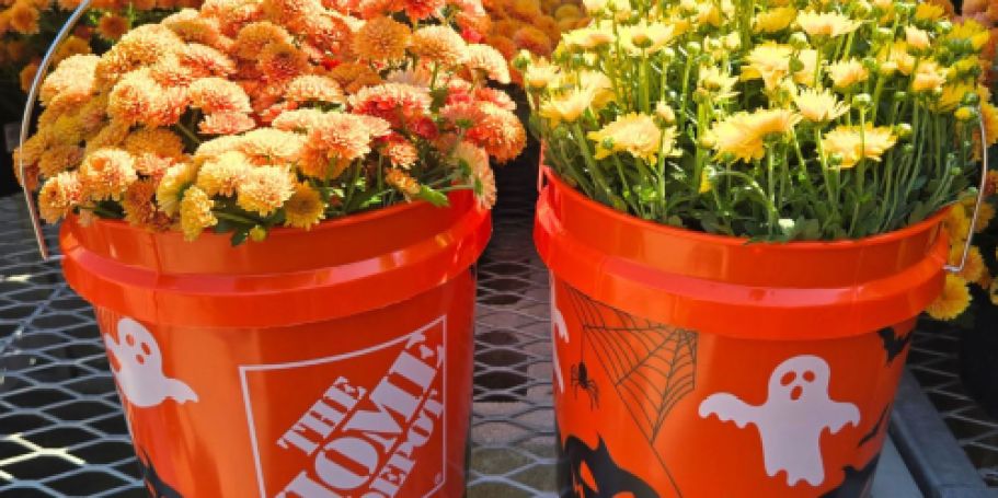 Home Depot Halloween Buckets Are Back & Still Under $3!