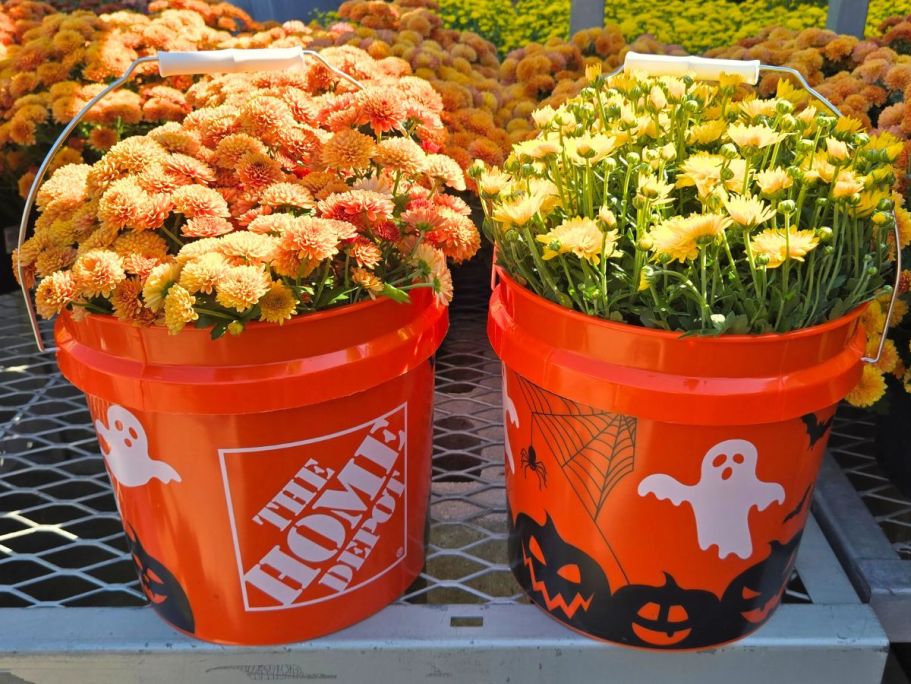 Home Depot Halloween Buckets Are Back & Still Under $3!