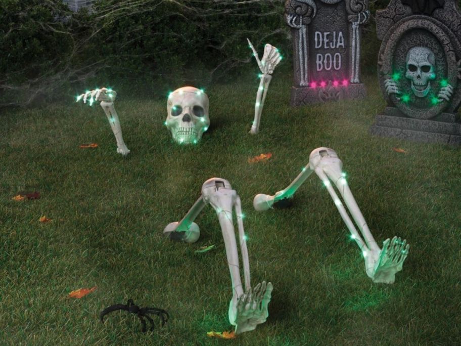 Skeleton Parts Stake displayed outside on the grass
