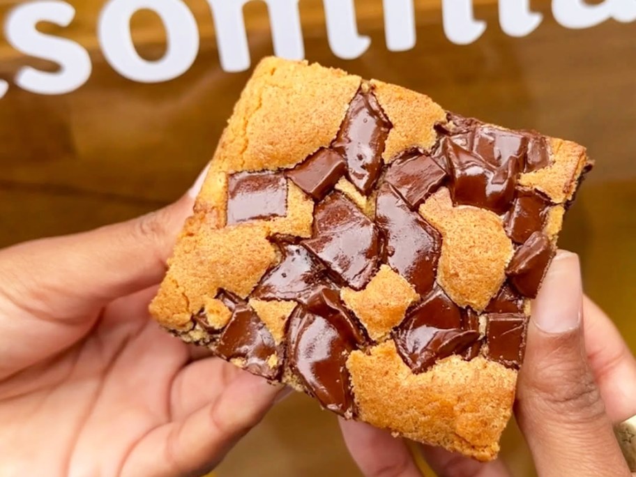 hand holding an Insomnia Brookie with melty chocolate chips