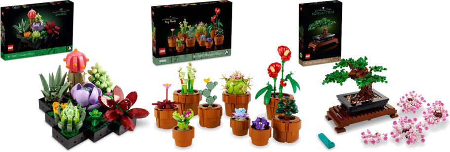 three LEGO Botanicals sets in a row