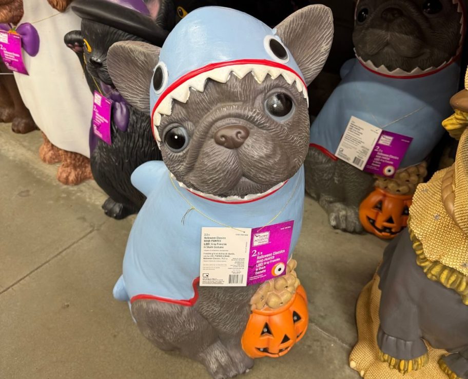 Classics Hand-Painted LED Gray Frenchie Shark Greete