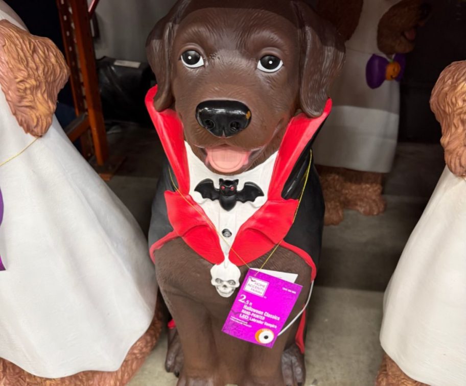 Home Accents Holiday Halloween Chocolate Labrador Vampire Greeter
