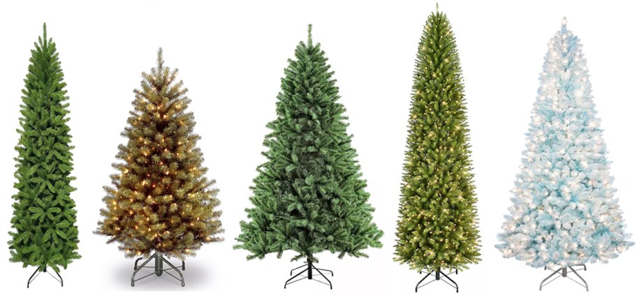 5 christmas trees in a row