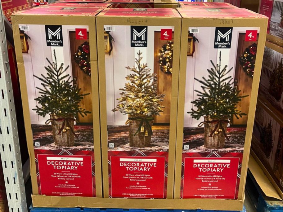 display of three Member's Mark 48" Pre-Lit Topiary in Woven Baskets