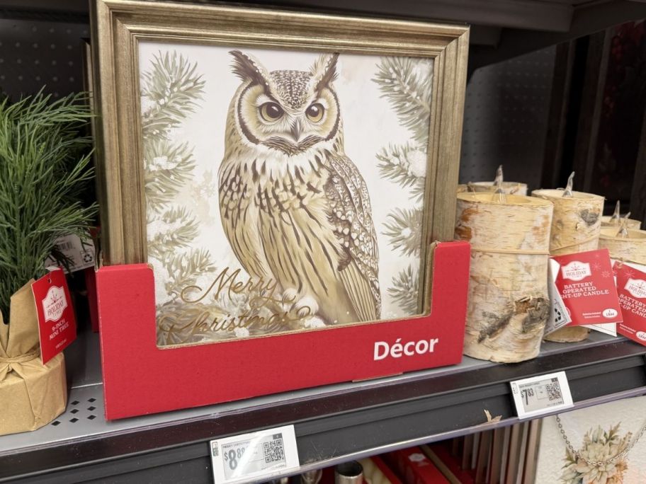 Owl Christmas frame next to light up wood candles at the store