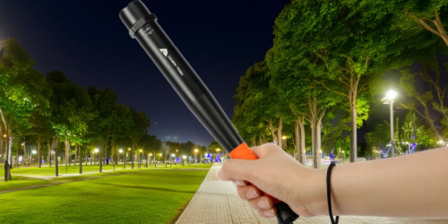 Ozark Trail LED Bat Flashlight Just $5.98 on Walmart.com (Reg. $15)