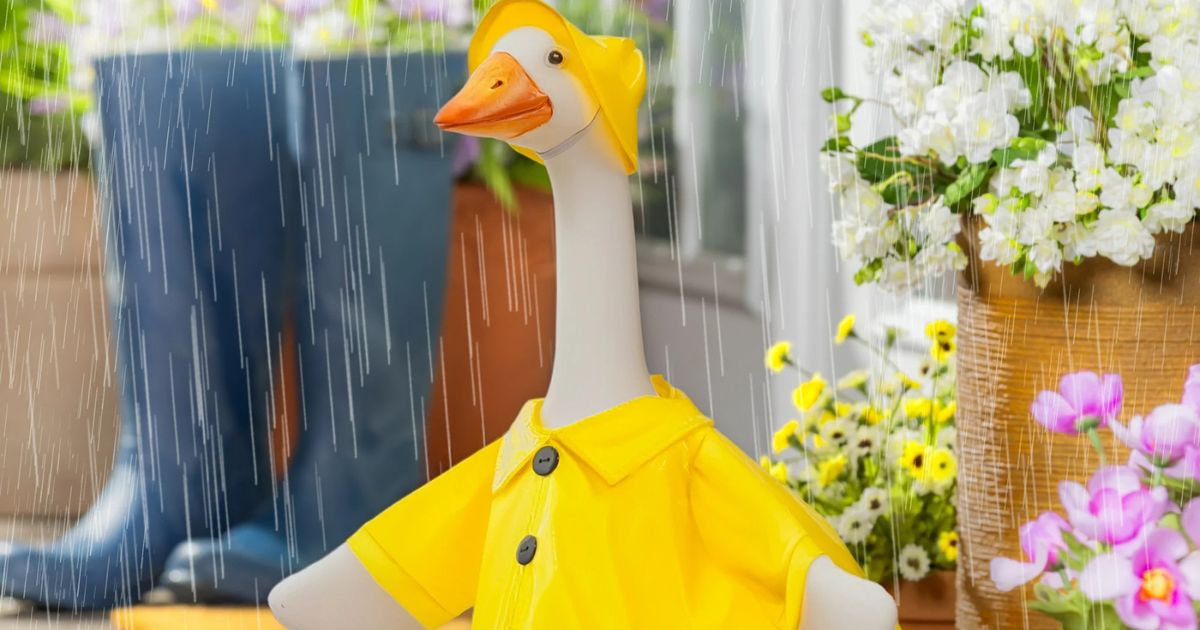 Mainstays Porch Goose or Outfit Sets Just $19.97 on Walmart.com