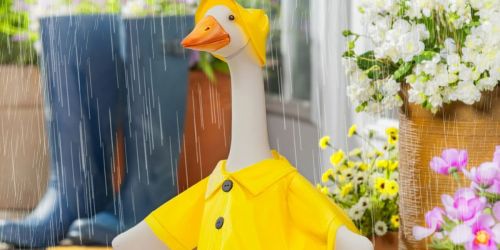 Mainstays Porch Goose or Outfit Sets Just $19.97 on Walmart.com