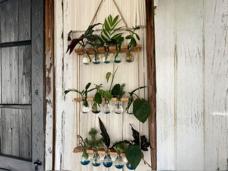 Propagation Station hanging on wall