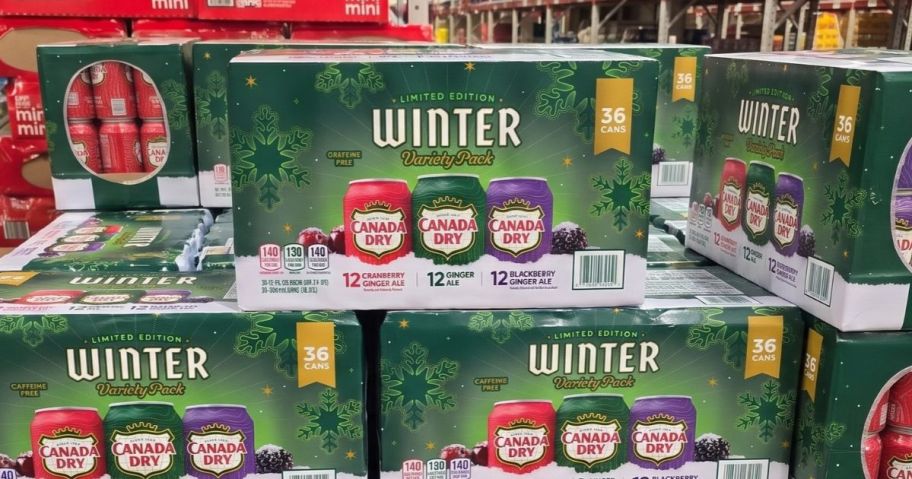 Sam's Club Canada Dry Winter Ginger Ale Variety Pack