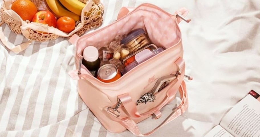 opened pink cooler bag on a picnic blanket