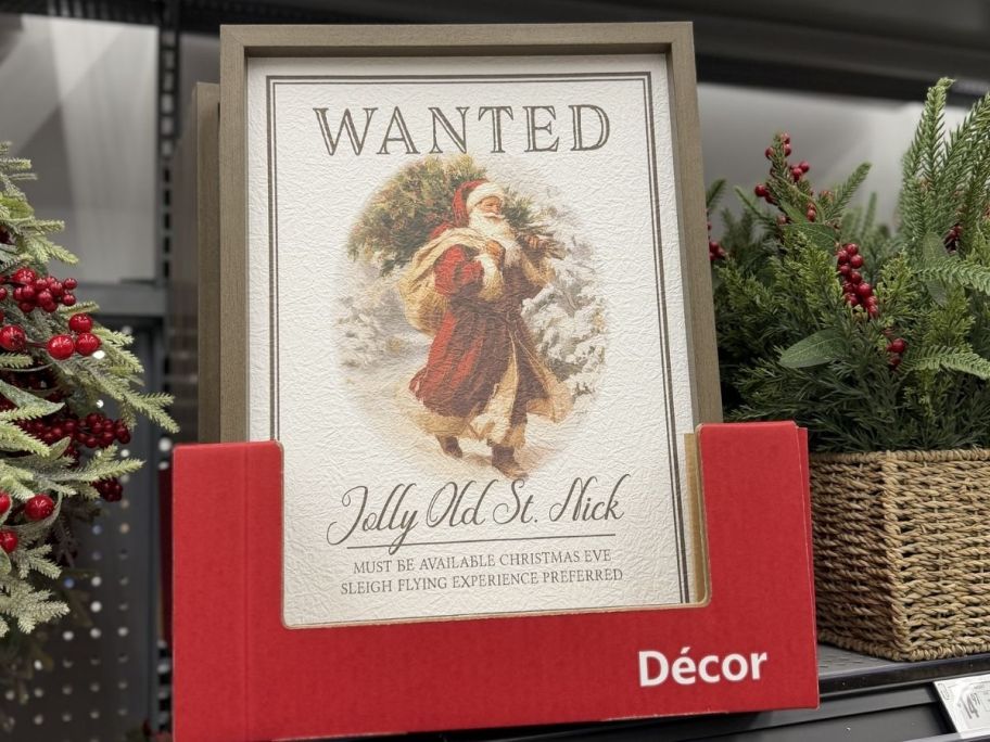 Wanted Joy nick frame at the store