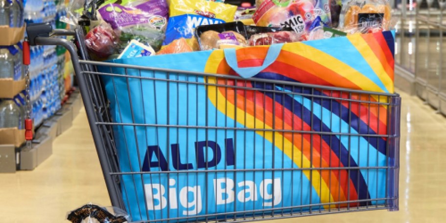 Be Quick to Snag a FREE ALDI Big Bag (First 1,000 Only)