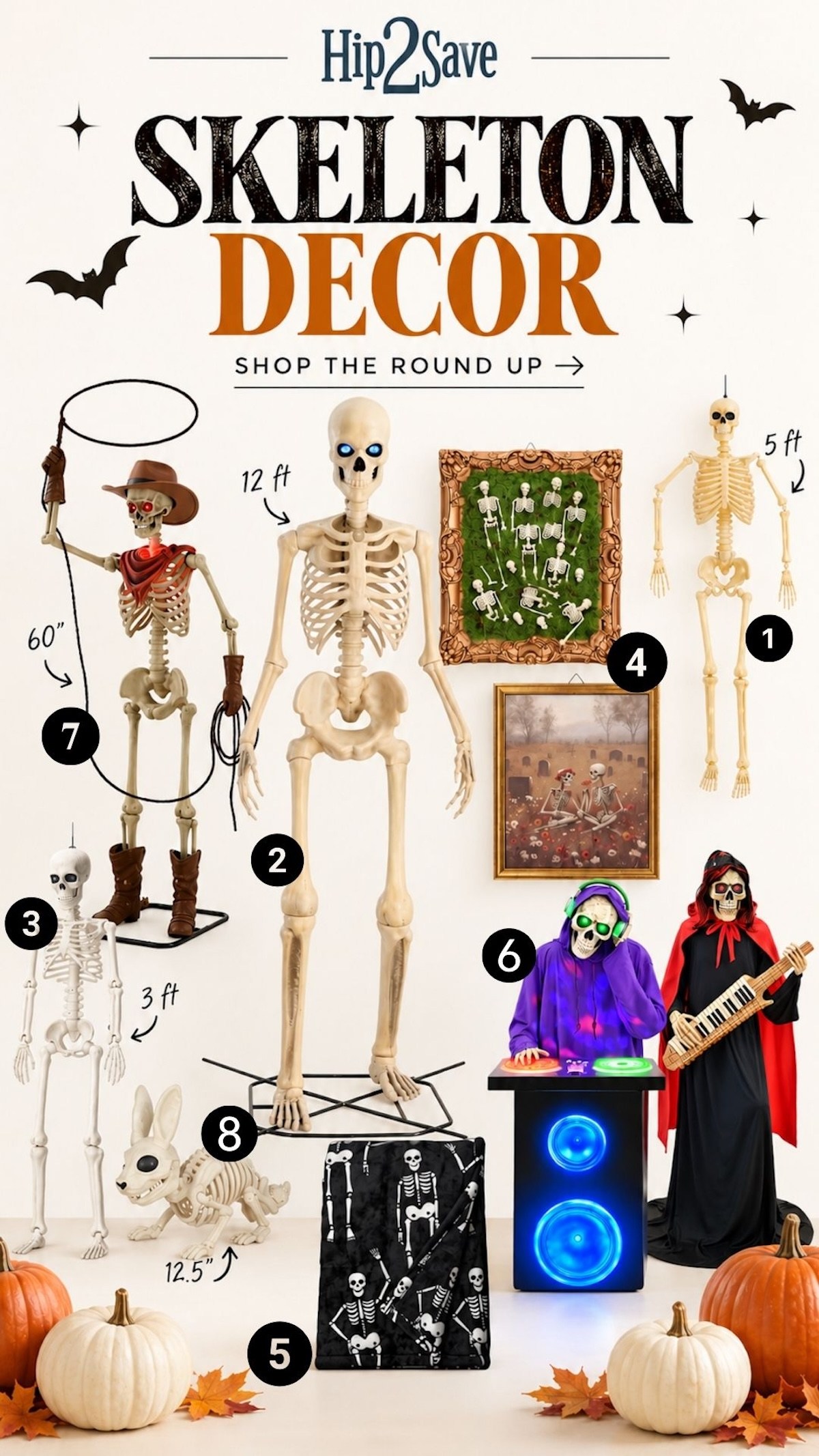 best skeleton decor collage graphic with various skeleton pieces