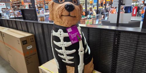 Home Depot Has the Cutest Halloween Blow Molds