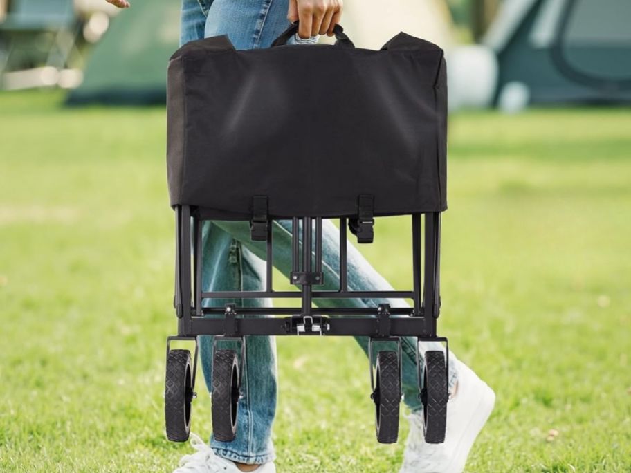person holding black carrying cart