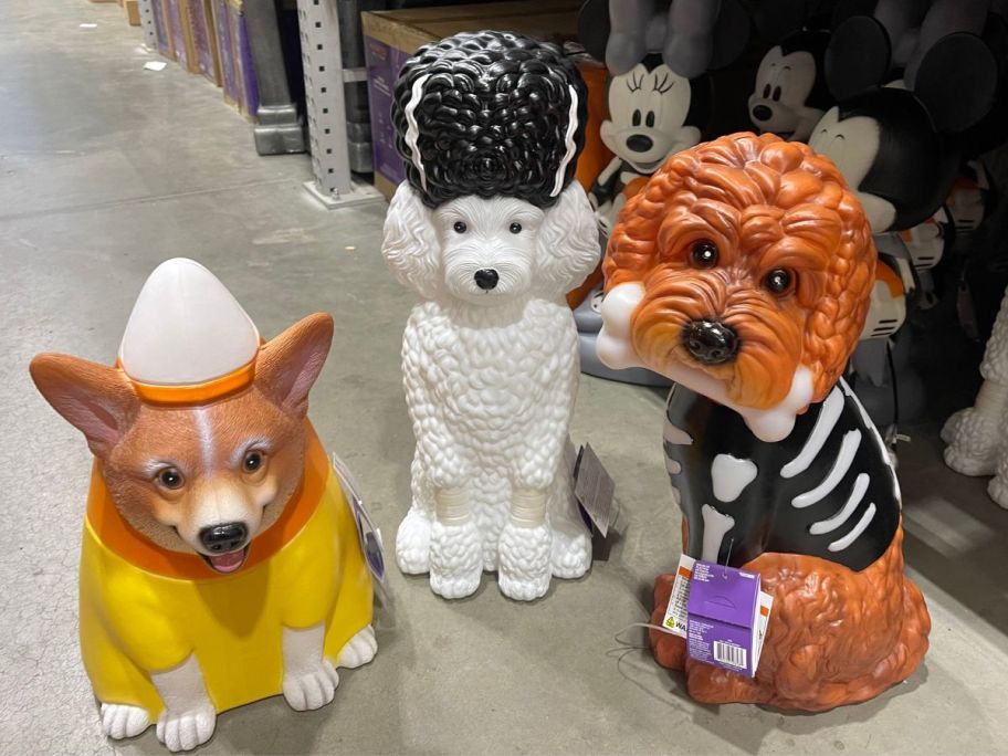 corgi and doodle halloween blow molds in store