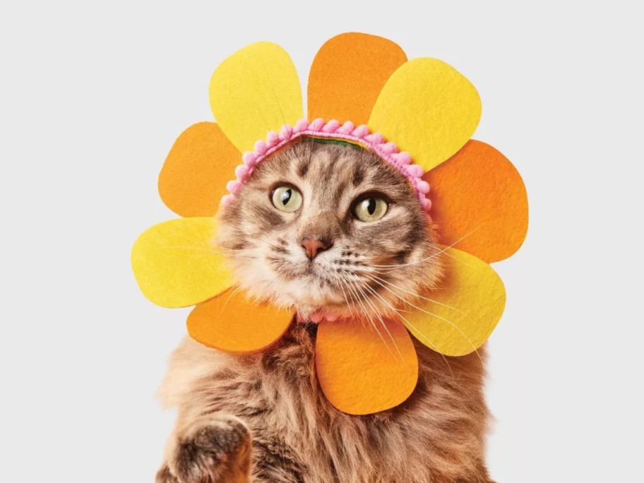Cat wearing a flower headpiece costume