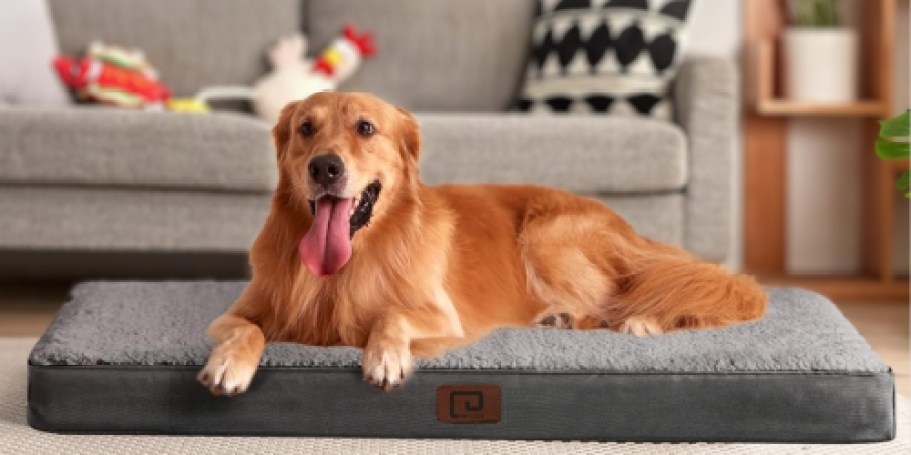 XL Orthopedic Dog Bed Just $18.89 Shipped for Prime Members