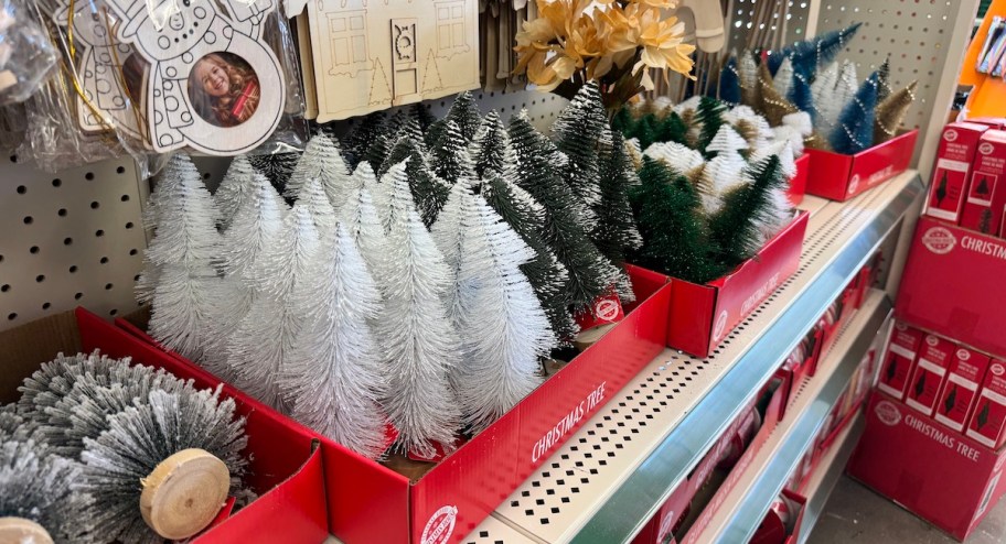 christmas bottle trees in red display boxes on store shelf