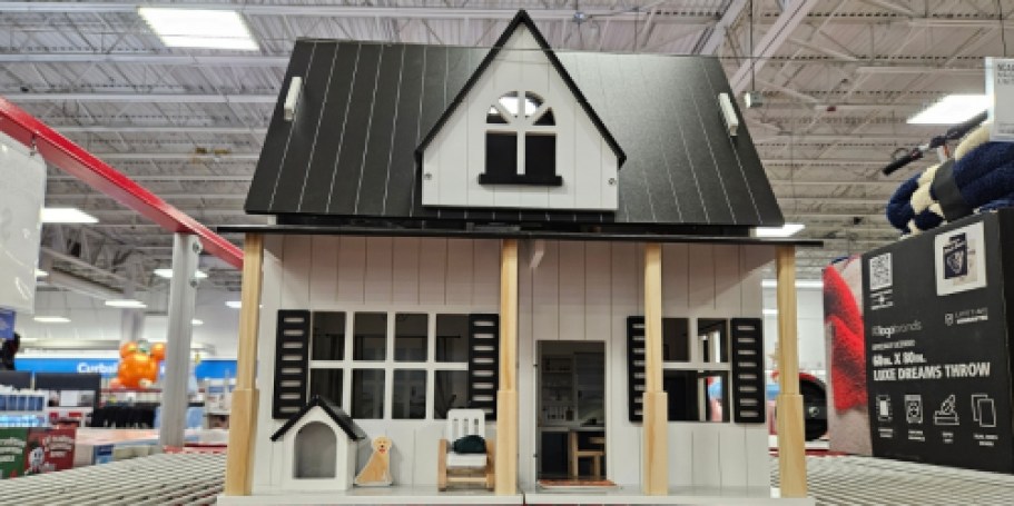 Trending at Sam’s Club: Ninja Appliances, Toys, Furniture, & More