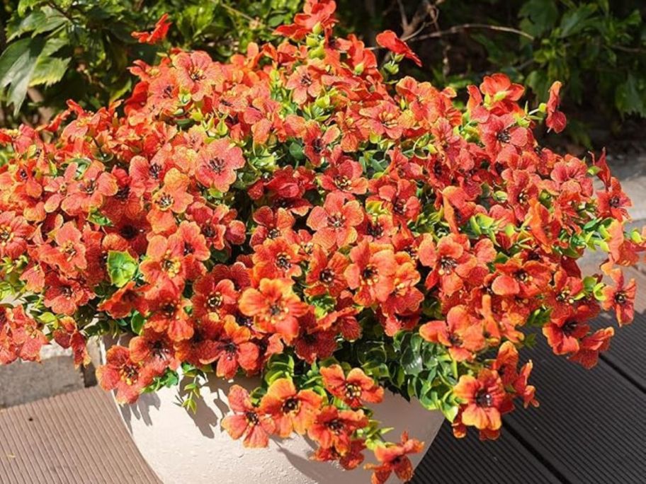orange flowers in planter