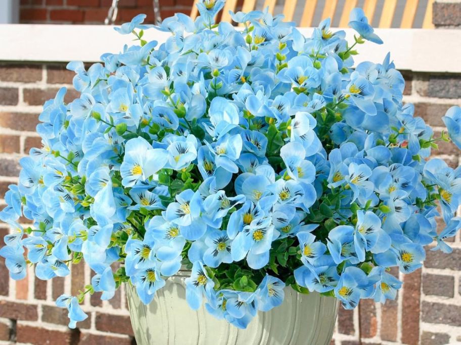 blue flowers in planter