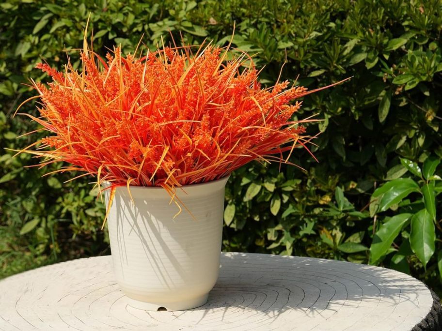 orange flowers in planter on table