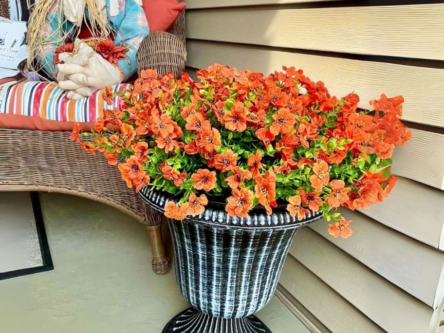 orange flowers in planter on doorstep