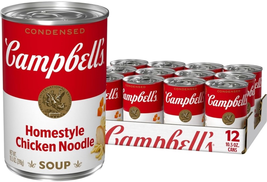 a 12 pack of homestyle chicken noodle soup 