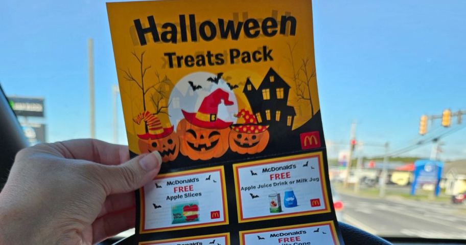 hand holding McDonalds Treats Pack coupon book in car