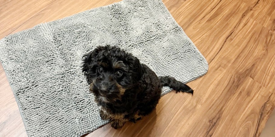 Chenille Dog Door Mat Only $4.99 on Amazon (Reg. $10)