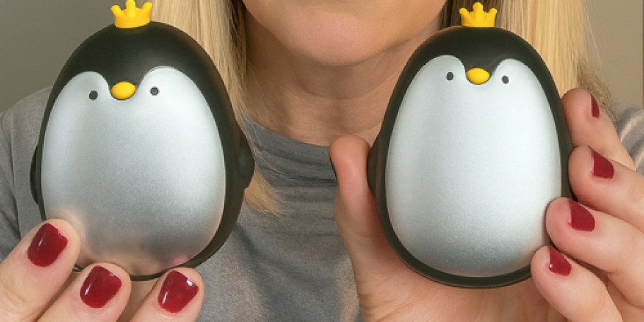 Rechargeable Hand Warmers 2-Pack Just $8.95 on Amazon (Penguins, Avocados, & More)